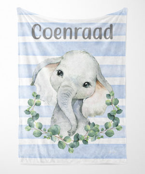 Baby Elephant