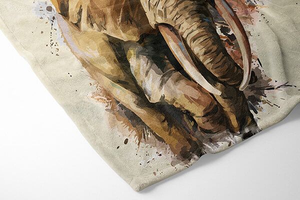 Big 5 - Image 2