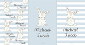 Spring Bunny Boy