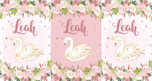 Swan Princess