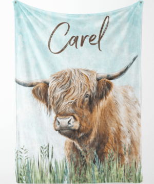 Highland Cow